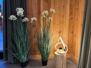 Wellnesslodge Kievit in Drenthe bloemen